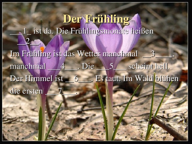 Der Fr ühling ___1_ ist da. Die Fr ühlingsmonate heißen __2__. Im Fr ühling ist das Wetter manchmal __3____, manchmal ___4___. Die ___5___ scheint hell. Der Himmel ist __6___. Es taut. Im Wald blühen die ersten ___7___. 