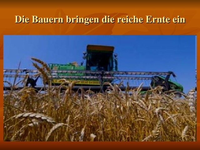 Die Bauern bringen die reiche Ernte ein 