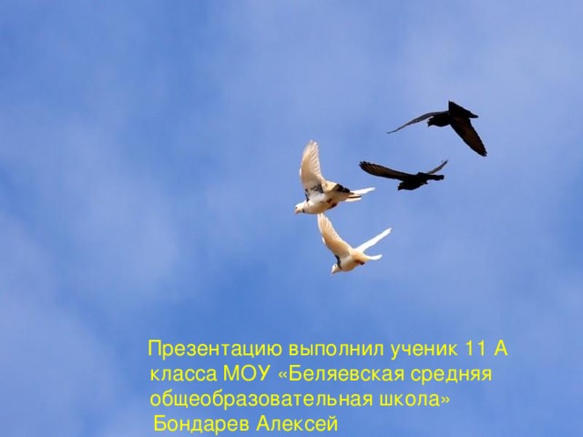 Презентацию выполнил ученик 11 А класса МОУ «Беляевская средняя общеобразовательная школа»  Бондарев Алексей