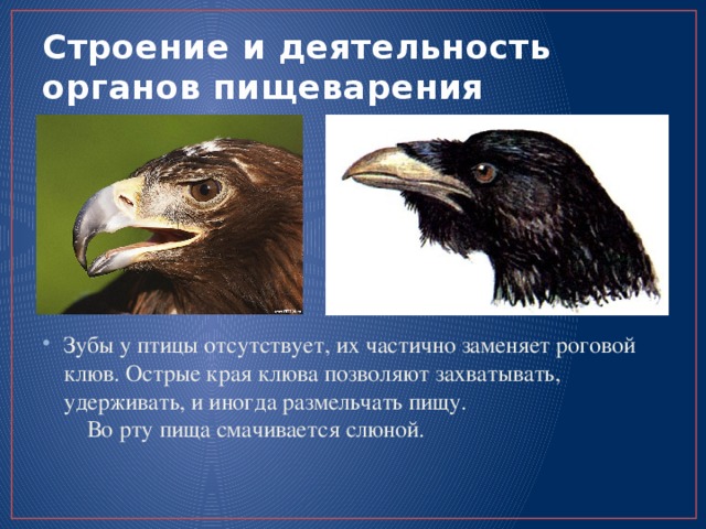 Предпочитаю отсутствовать полностью чем присутствовать частично картинки