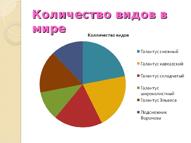 Количество видов в мире 