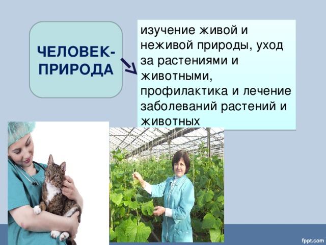 изучение живой и неживой природы, уход за растениями и животными, профилактика и лечение заболеваний растений и животных ЧЕЛОВЕК- ПРИРОДА