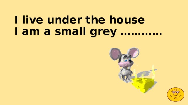 I live under the house  I am a small grey ………… 