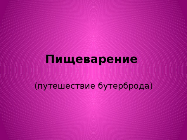 Пищеварение (путешествие бутерброда) 