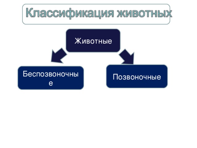 Диаграмма животные позвоночные беспозвоночные