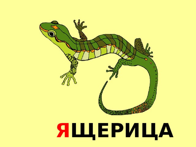 Я ЩЕРИЦА 