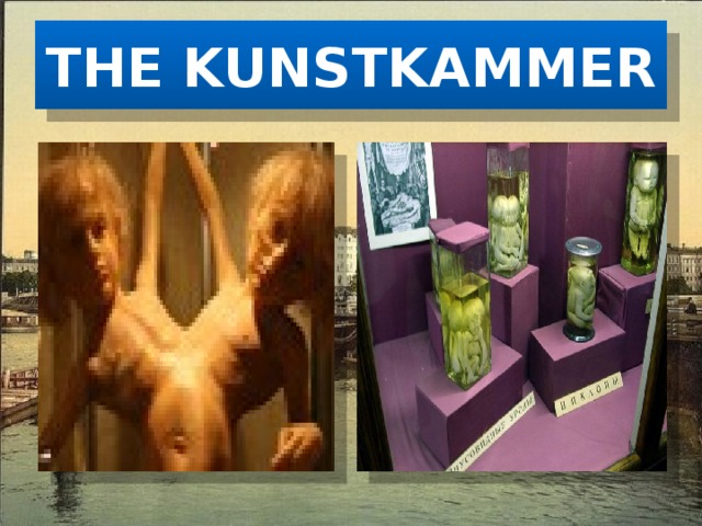 THE KUNSTKAMMER 