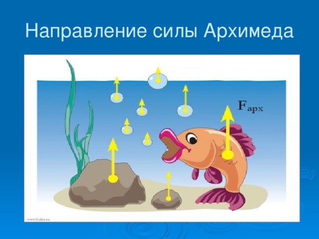 Сила архимеда чертеж