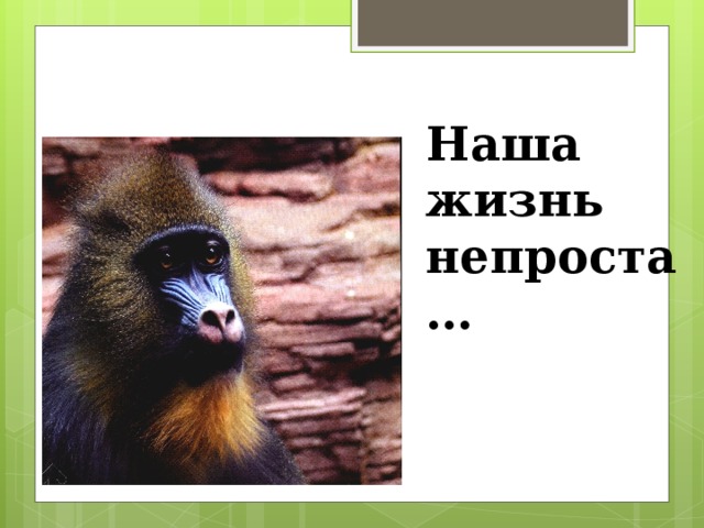 Наша жизнь непроста… 