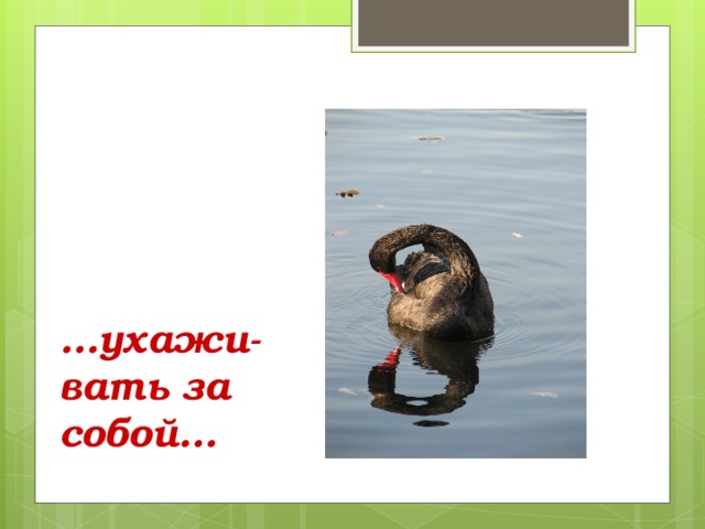 … ухажи-вать за собой… 