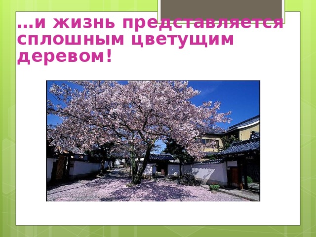 … и жизнь представляется сплошным цветущим деревом! 
