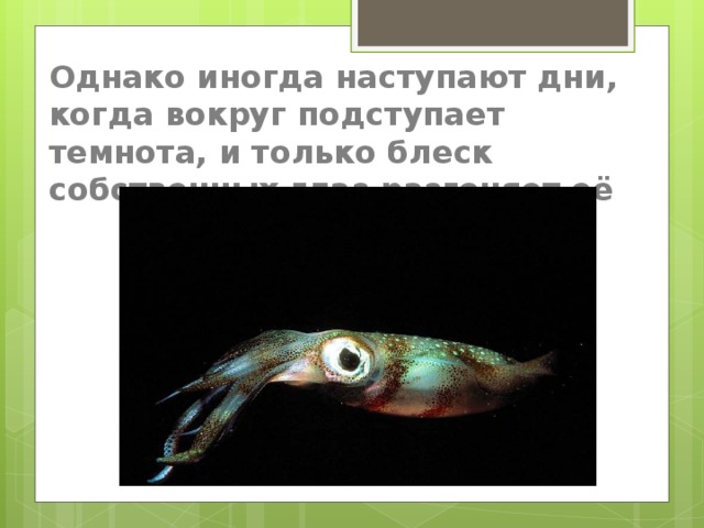 Однако иногда наступают дни, когда вокруг подступает темнота, и только блеск собственных глаз разгоняет её … 