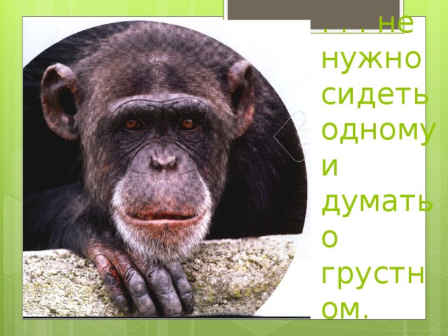 . . . не нужно сидеть одному и думать о грустном. 