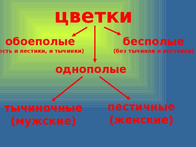 цветки обоеполые бесполые (есть и пестики, и тычинки) (без тычинок и пестиков)  однополые пестичные (женские) тычиночные (мужские) 
