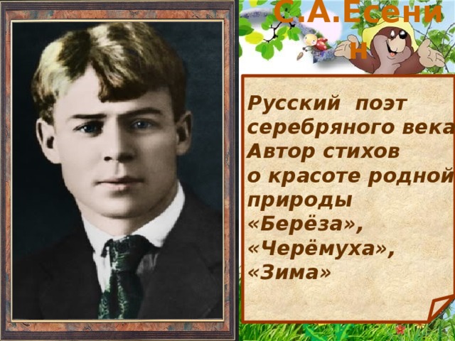 С.А.Есенин Русский поэт серебряного века. Автор стихов о красоте родной природы «Берёза», «Черёмуха», «Зима»  