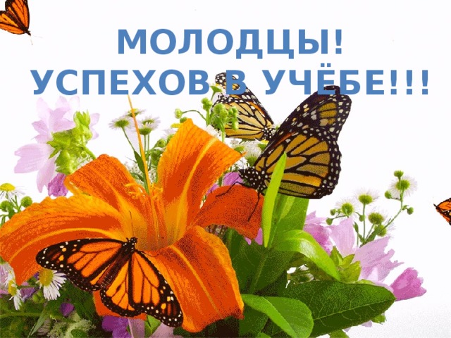 Молодцы! Успехов в учёбе!!! 