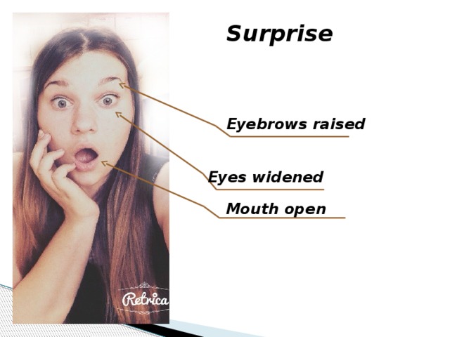 Surprise Eyebrows raised  Eyes widened Mouth open 