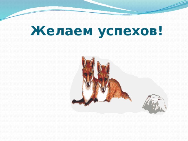  Желаем успехов! 