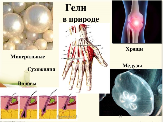 Гели в природе Хрящи Минеральные  Медузы  Сухожилия  Волосы  Братякова С.Б. 13