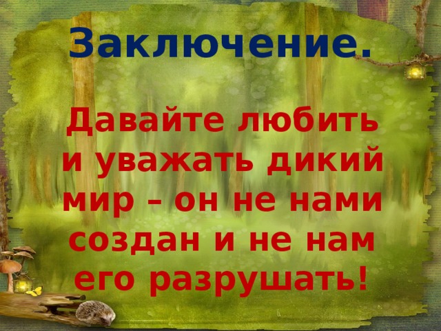 Заключение. Давайте любить и уважать дикий мир – он не нами создан и не нам его разрушать!