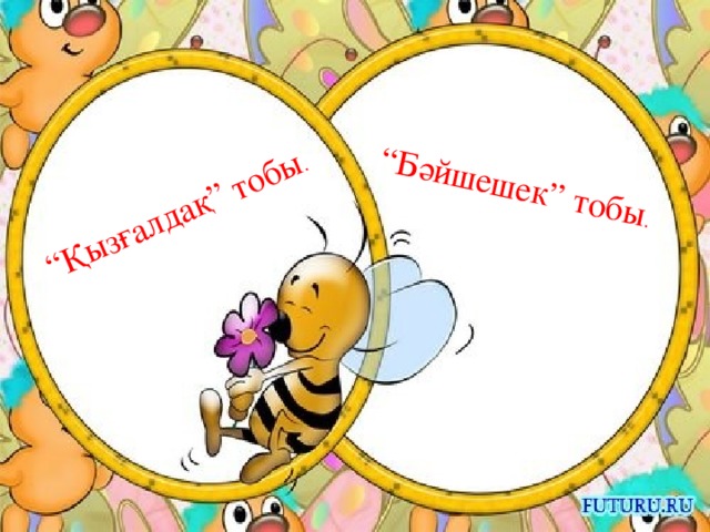 “ Қызғалдақ” тобы . “ Бәйшешек” тобы . 