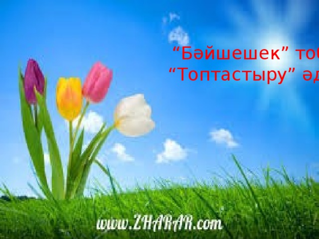  “ Бәйшешек” тобы. “ Топтастыру” әдісі. 