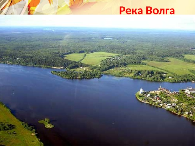 Река Волга Текст слайда 