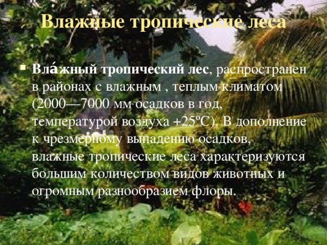 Влажные тропические леса   Вла́жный тропический лес , распространен в районах с влажным , теплым климатом (2000—7000 мм осадков в год, температурой воздуха +25ºC). В дополнение к чрезмерному выпадению осадков, влажные тропические леса характеризуются большим количеством видов животных и огромным разнообразием флоры. 