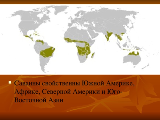 Саванны свойственны Южной Америке, Африке, Северной Америки и Юго-Восточной Азии 