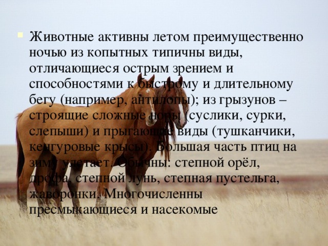 Животные активны летом преимущественно ночью из копытных типичны виды, отличающиеся острым зрением и способностями к быстрому и длительному бегу (например, антилопы); из грызунов – строящие сложные норы (суслики, сурки, слепыши) и прыгающие виды (тушканчики, кенгуровые крысы). Большая часть птиц на зиму улетает. Обычны: степной орёл, дрофа, степной лунь, степная пустельга, жаворонки. Многочисленны пресмыкающиеся и насекомые 