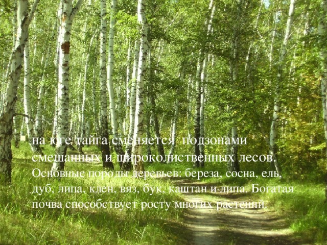 на юге тайга сменяется подзонами смешанных и широколиственных лесов. Основные породы деревьев: береза, сосна, ель, дуб, липа, клен, вяз, бук, каштан и липа. Богатая почва способствует росту многих растений. 
