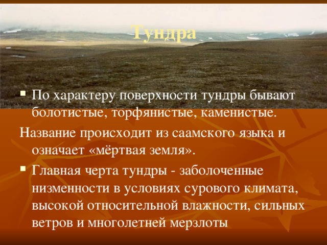 Тундра По характеру поверхности тундры бывают болотистые, торфянистые, каменистые.  Название происходит из саамского языка и означает «мёртвая земля». Главная черта тундры - заболоченные низменности в условиях сурового климата, высокой относительной влажности, сильных ветров и многолетней мерзлоты 