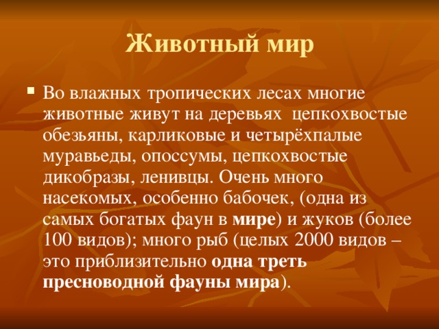 Животный мир Во влажных тропических лесах многие животные живут на деревьях цепкохвостые обезьяны, карликовые и четырёхпалые муравьеды, опоссумы, цепкохвостые дикобразы, ленивцы. Очень много насекомых, особенно бабочек, (одна из самых богатых фаун в мире ) и жуков (более 100 видов); много рыб (целых 2000 видов – это приблизительно одна треть пресноводной фауны мира ). 