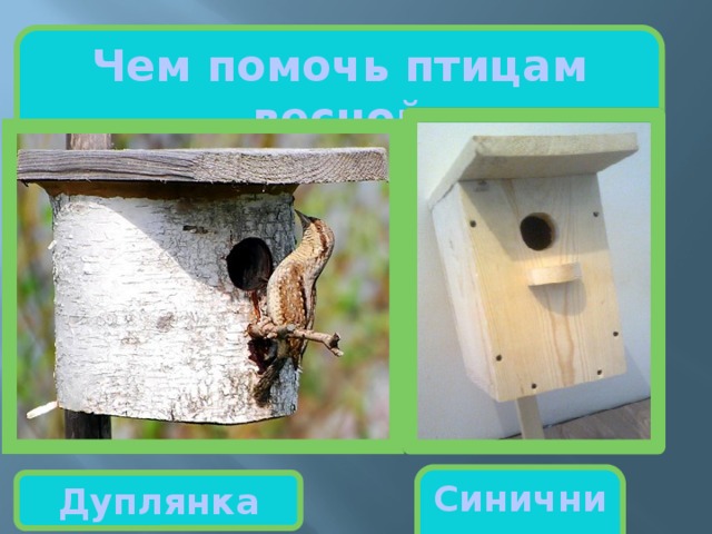 Чем помочь птицам весной Синичник Дуплянка 