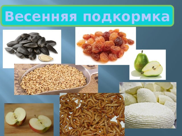 Весенняя подкормка 