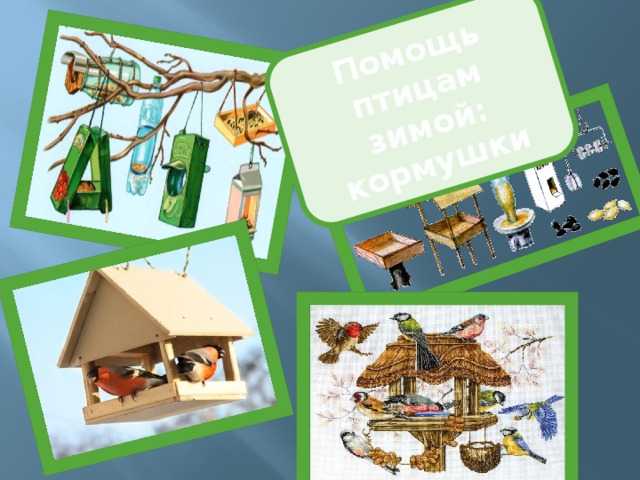 Помощь птицам зимой: кормушки 