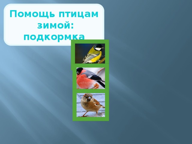 Помощь птицам зимой: подкормка Дроблёный арахис Даём несолёное сало Нежареные семечки подсолнечника Просо Овёс Пшеница 