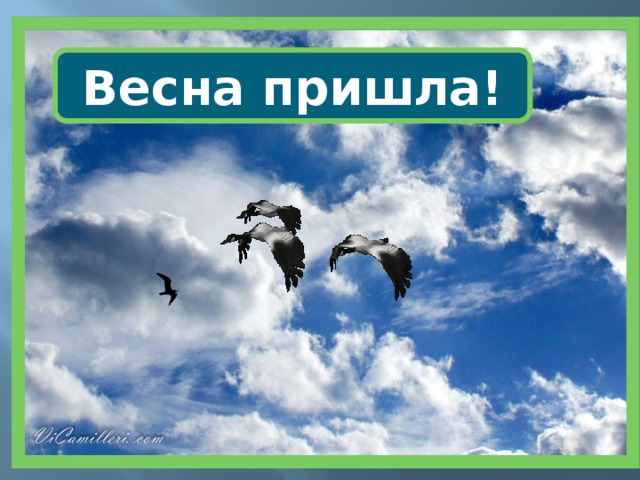 Весна пришла! 