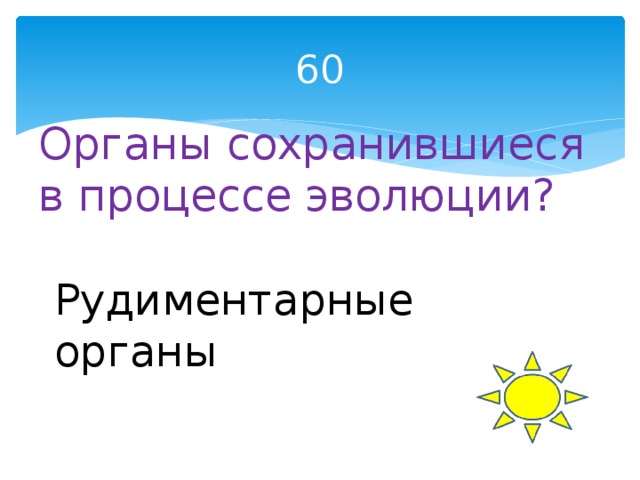 60 Органы сохранившиеся в процессе эволюции? Рудиментарные органы 