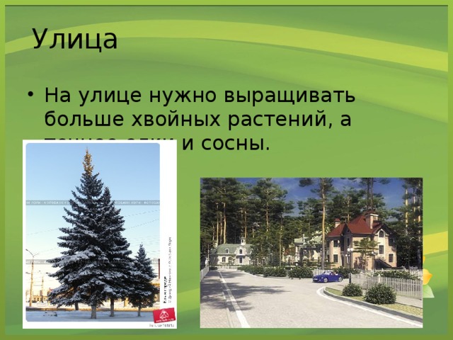 Улица