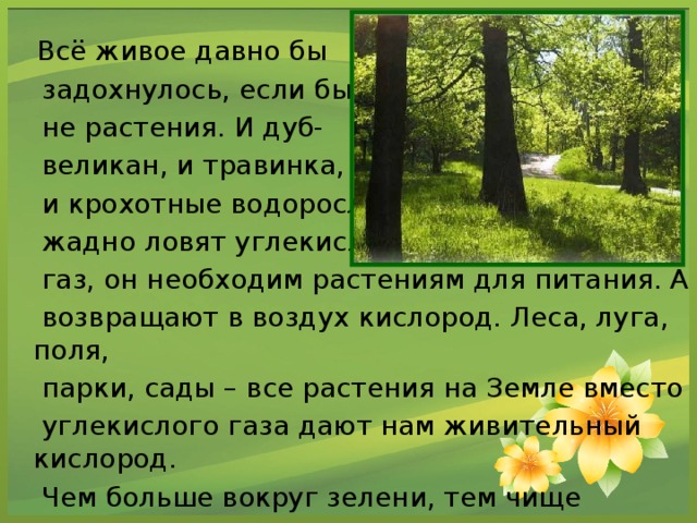 Всё живое давно бы  задохнулось, если бы  не растения. И дуб-  великан, и травинка,  и крохотные водоросли  жадно ловят углекислый  газ, он необходим растениям для питания. А  возвращают в воздух кислород. Леса, луга, поля,  парки, сады – все растения на Земле вместо  углекислого газа дают нам живительный кислород.  Чем больше вокруг зелени, тем чище воздух .