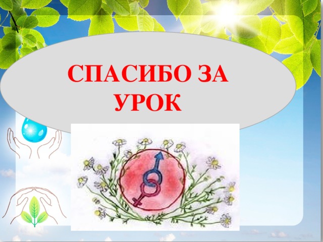 СПАСИБО ЗА УРОК 
