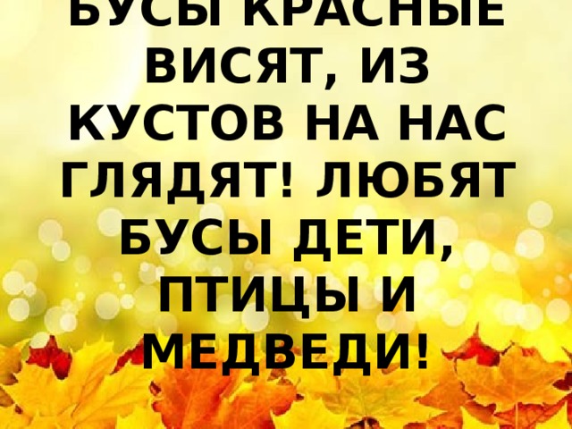 БУСЫ КРАСНЫЕ ВИСЯТ, ИЗ КУСТОВ НА НАС ГЛЯДЯТ! ЛЮБЯТ БУСЫ ДЕТИ, ПТИЦЫ И МЕДВЕДИ! 