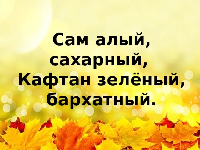 Сам алый, сахарный,   Кафтан зелёный, бархатный. 