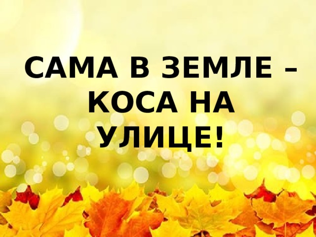 САМА В ЗЕМЛЕ – КОСА НА УЛИЦЕ! 