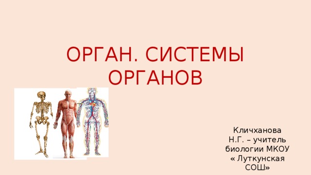 Какой Самый Дорогой Орган Человека Цена