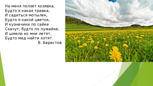 На меня ползет козявка, Будто я какая травка, И садиться мотылек, Будто я какой цветок, И кузнечики по сайке Скачут, будто по лужайке, И шмели ко мне летят, Будто мед найти хотят.  В. Берестов