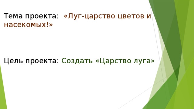 Тема проекта: «Луг-царство цветов и насекомых!» Цель проекта: Создать «Царство луга»