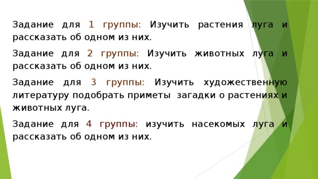 Задание для 1 группы: Изучить растения луга и рассказать об одном из них. Задание для 2 группы: Изучить животных луга и рассказать об одном из них. Задание для 3 группы: Изучить художественную литературу подобрать приметы загадки о растениях и животных луга. Задание для 4 группы: изучить насекомых луга и рассказать об одном из них.