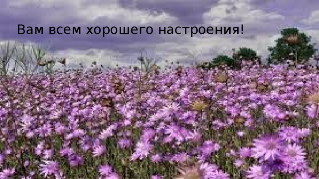 Вам всем хорошего настроения!